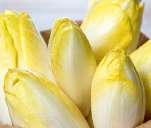 photo Endive