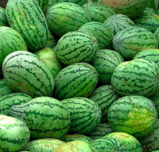 photo Pastèque